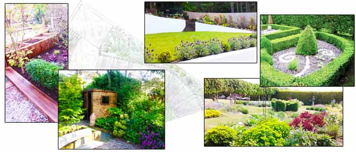 Professional Garden Design Dorset