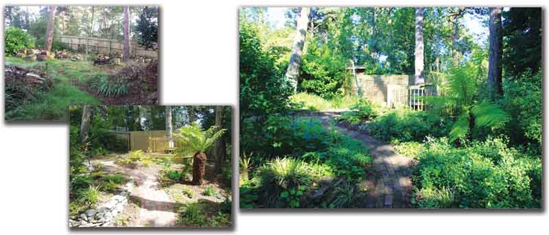Woodland Garden Design Services Dorset